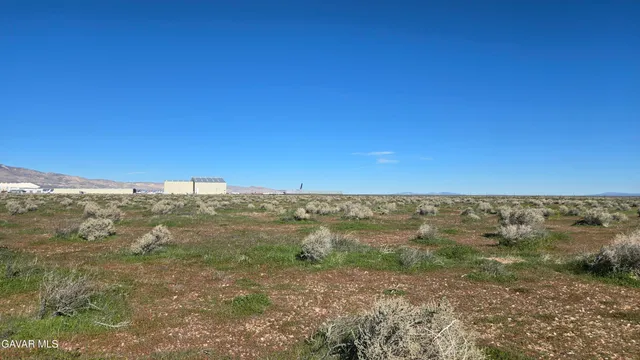 a view of a field with an ocean