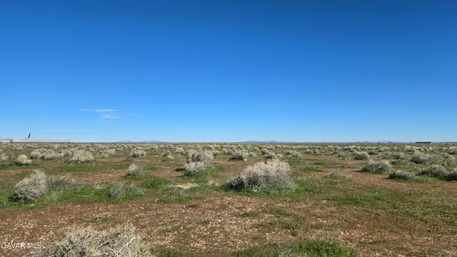 a view of beach and ocean
