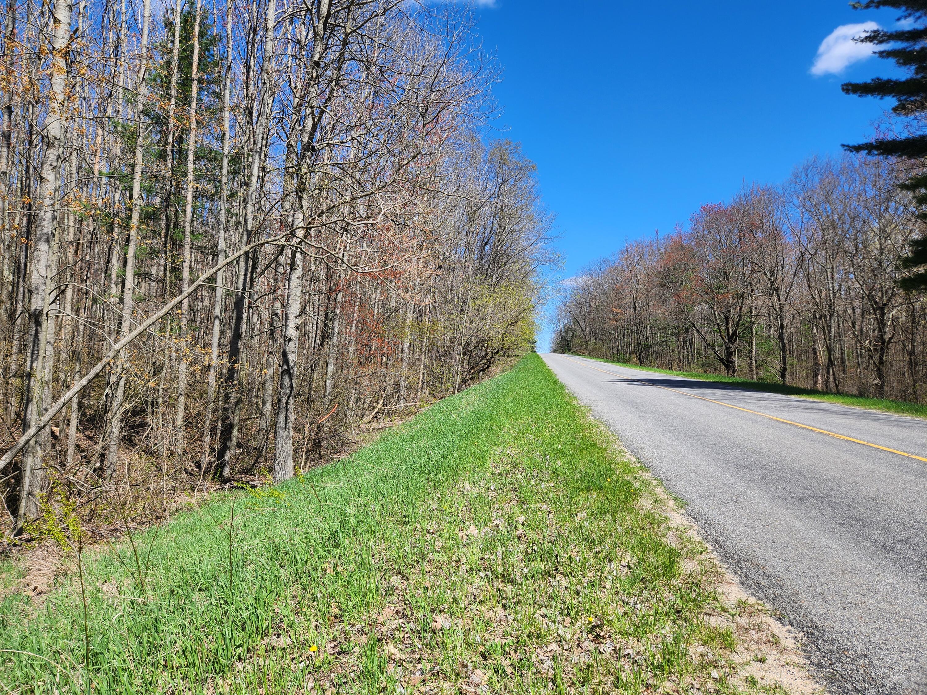 5687 South Frank Smith Road Chase, MI 49623 - Photo 4 of 9 20260502_115714