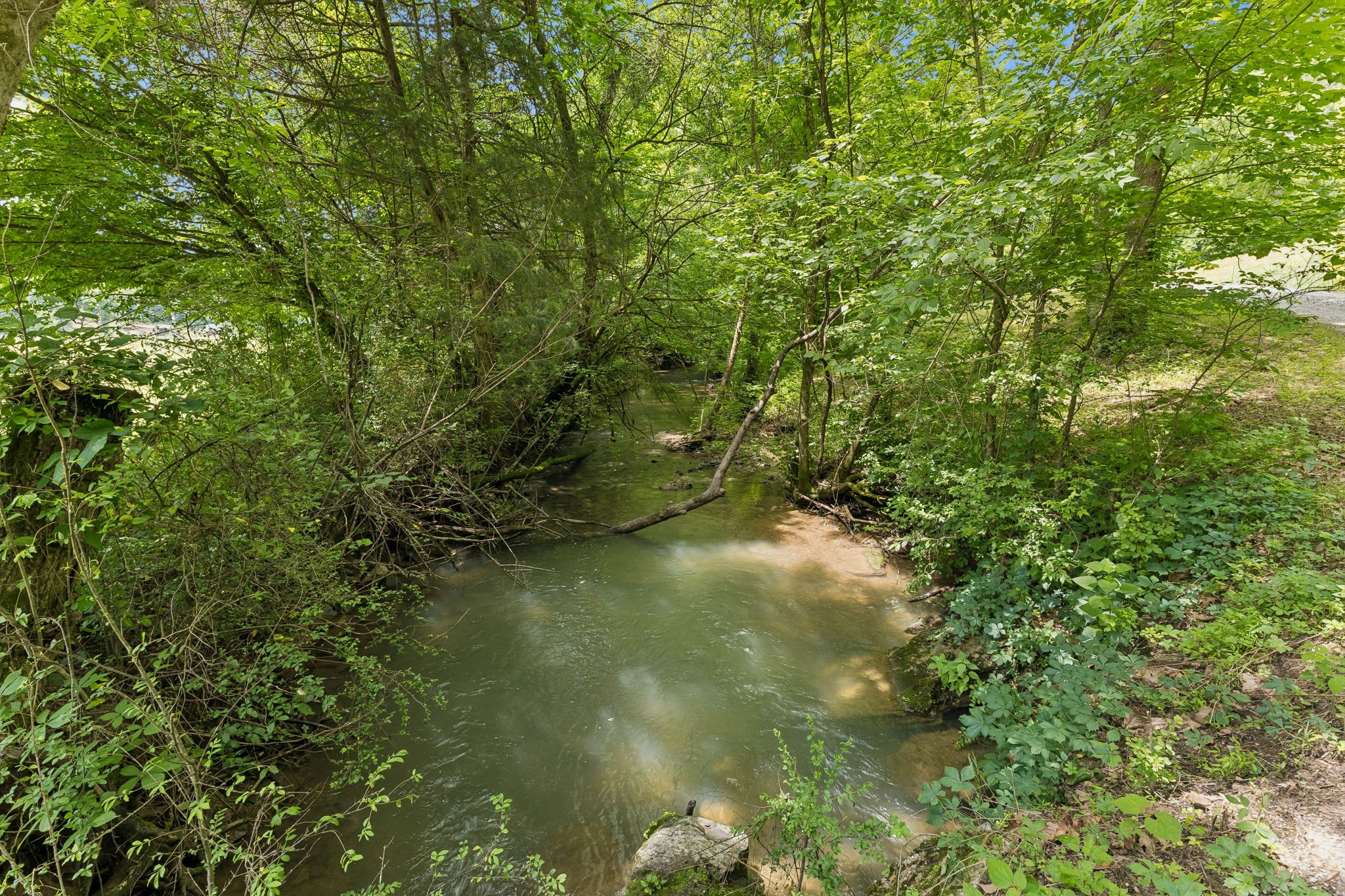 2865 Springplace Road Belfast, TN 37019 - Photo 51 of 75