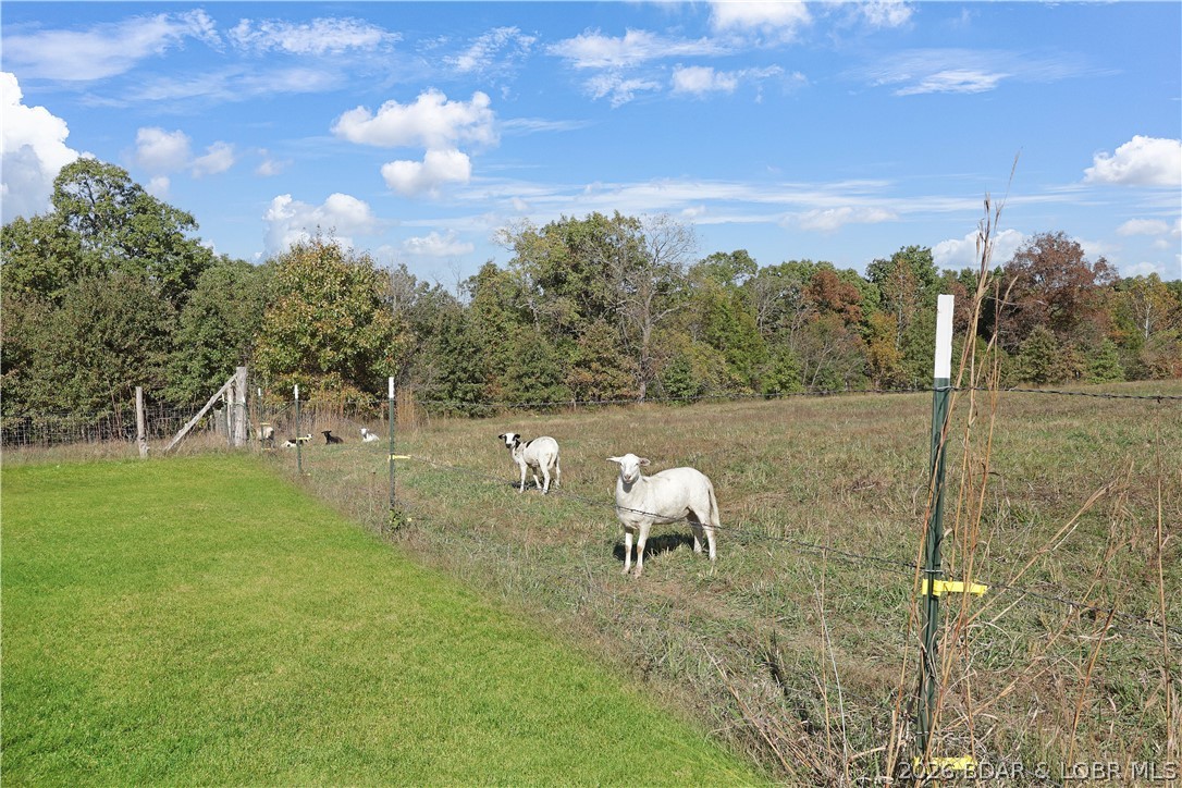 118 Uncle Dee Road Brumley, MO 65017 - Photo 39 of 57 Bring all your critters, sheep, goats, horsesQ