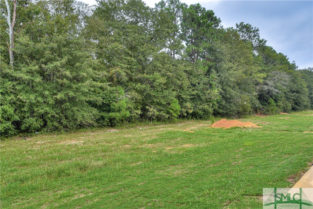 352 Crosswinds Drive Rincon, GA 31326 - Photo 34 of 37