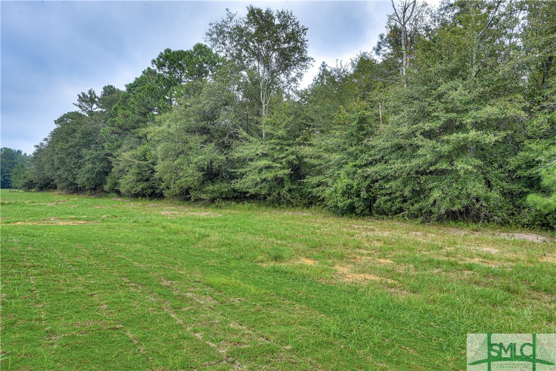 352 Crosswinds Drive Rincon, GA 31326 - Photo 37 of 37