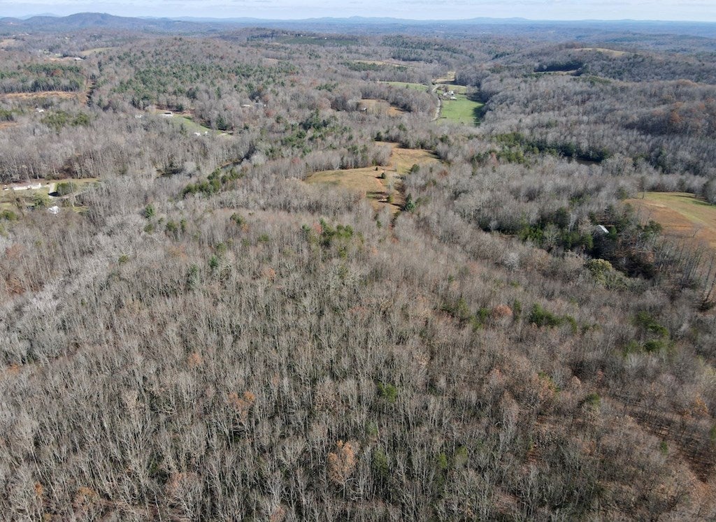 Old Mill Road Patrick Springs, VA 24133 - Photo 3 of 49 Gallery Image 3