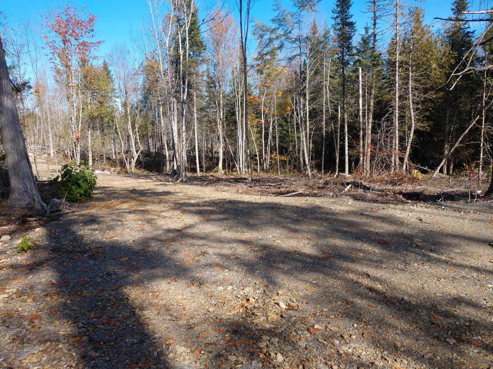 Lot 1 Bottle Lake Road Springfield, ME 04487 - Photo 3 of 11 IMG_20191016_135637636