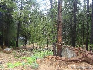 Lot 346 Alice Road Idaho Springs, CO 80452 - Photo 1 of 4 Gallery Image 1