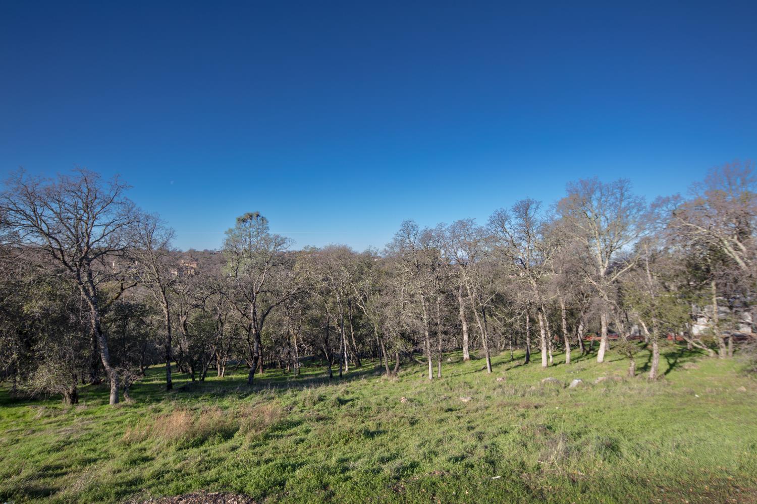 4095 Raphael Drive El Dorado Hills, CA 95762 - Photo 11 of 13 a view of a field with trees in the background