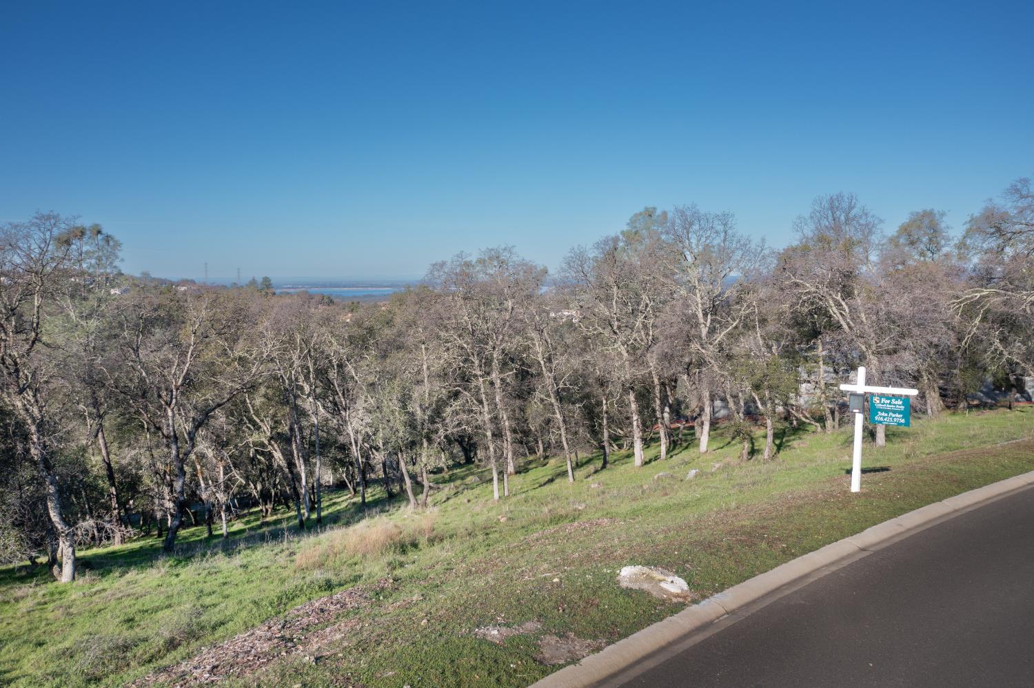 4095 Raphael Drive El Dorado Hills, CA 95762 - Photo 12 of 13 a view of a park with large trees