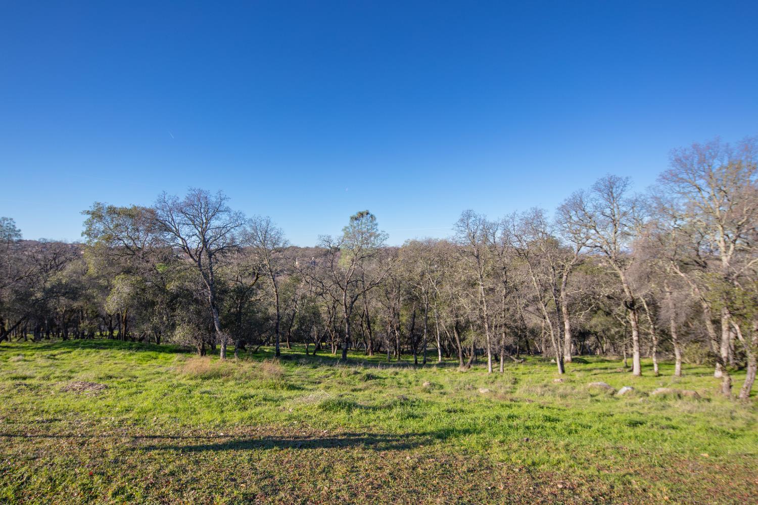 4095 Raphael Drive El Dorado Hills, CA 95762 - Photo 3 of 13 a view of a field with trees in the background