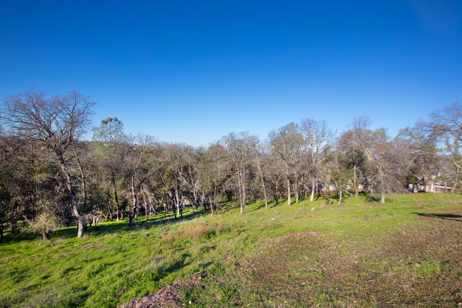 4095 Raphael Drive El Dorado Hills, CA 95762 - Photo 5 of 13 a view of a green field
