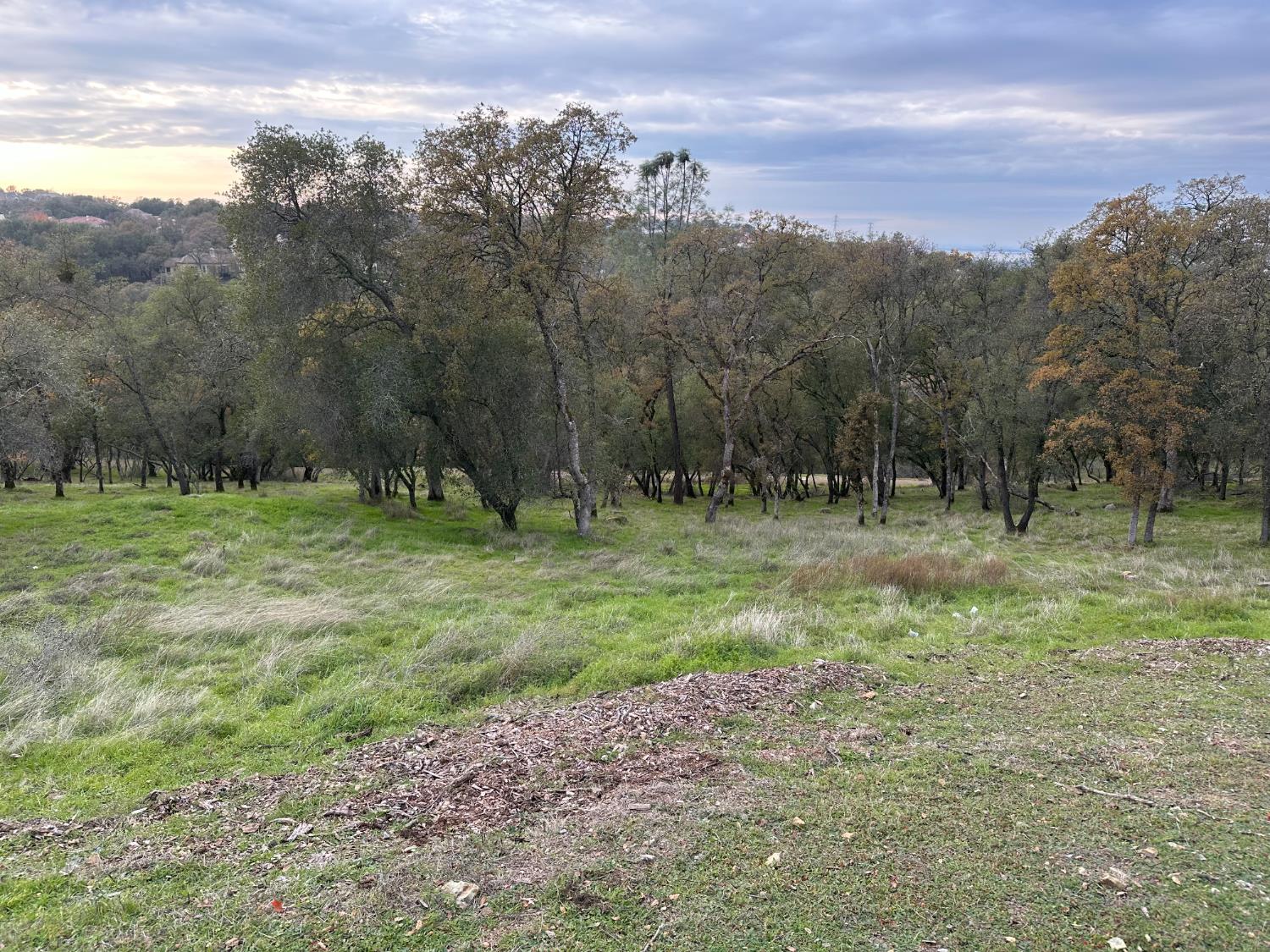 4095 Raphael Drive El Dorado Hills, CA 95762 - Photo 6 of 13 a view of outdoor space with green field and trees