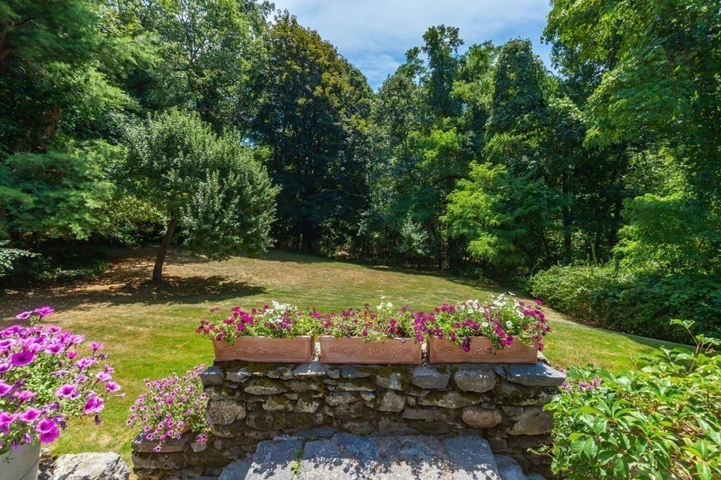 85 Dudley Road Newton, MA 02459 - Photo 26 of 32 a view of a bunch of flowers and trees