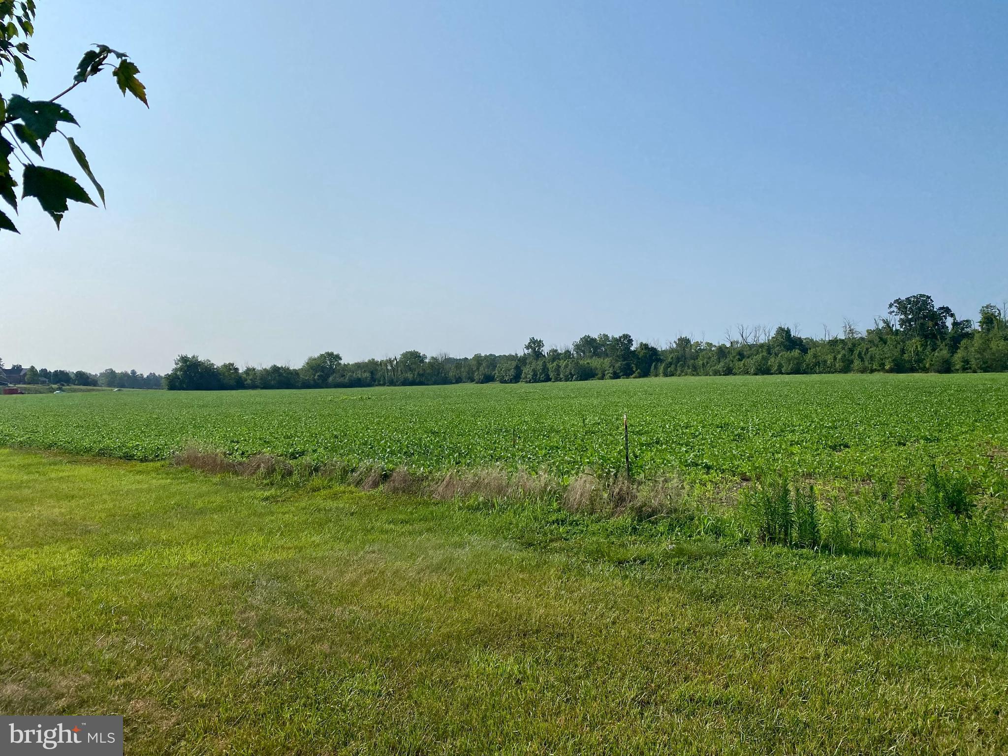 0 Putman Road Thurmont, MD 21788 - Photo 13 of 14 Forest Easement area in the background