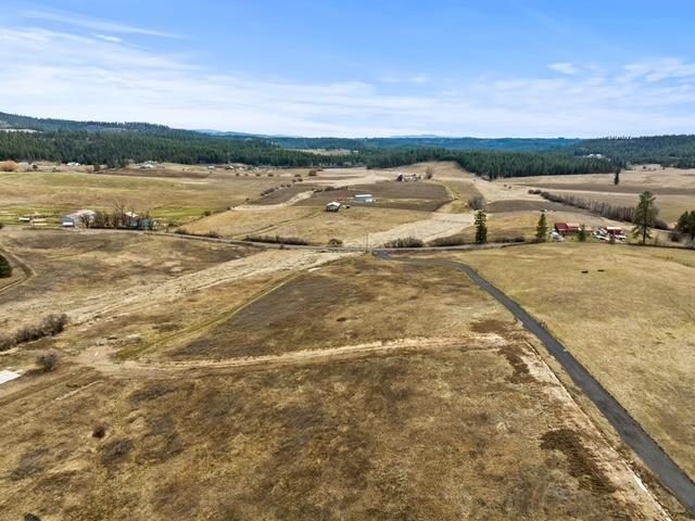 1170 East Tallman Road Chattaroy, WA 99003 - Photo 3 of 5