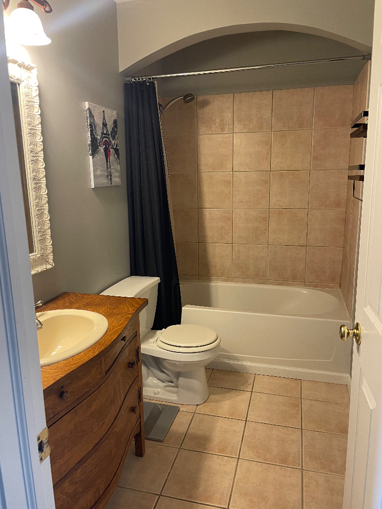 1027 Horizon Ridge Lake In The Hills, IL 60156 - Photo 15 of 21 a bathroom with a granite countertop bathtub shower sink vanity and toilet