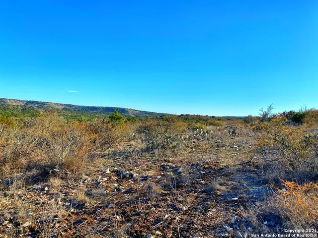 a view of beach and ocean