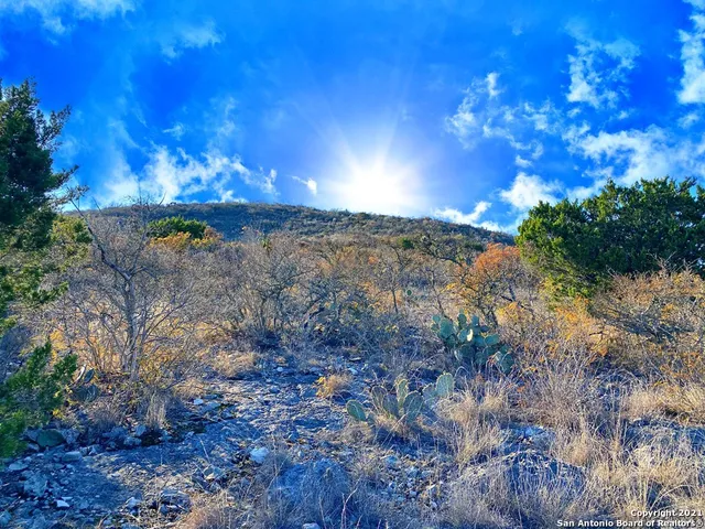 a view of a backyard of a house