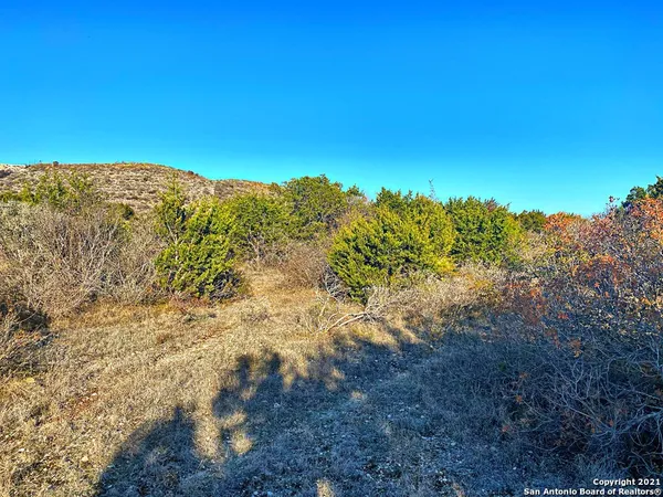 a view of a large yard with lots of trees