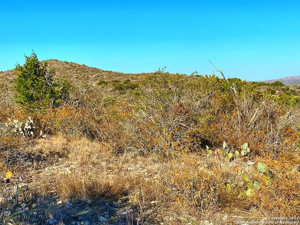 a view of a large building with mountains in the background