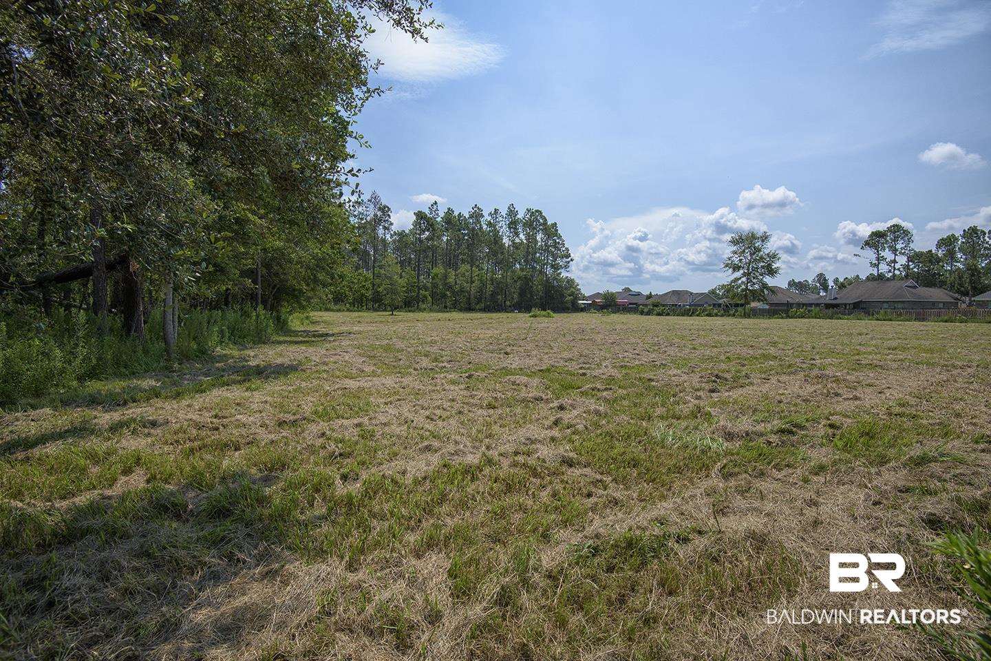 9686 County Road 65 Foley, AL 36535 - Photo 18 of 47 Open Field behind Barn