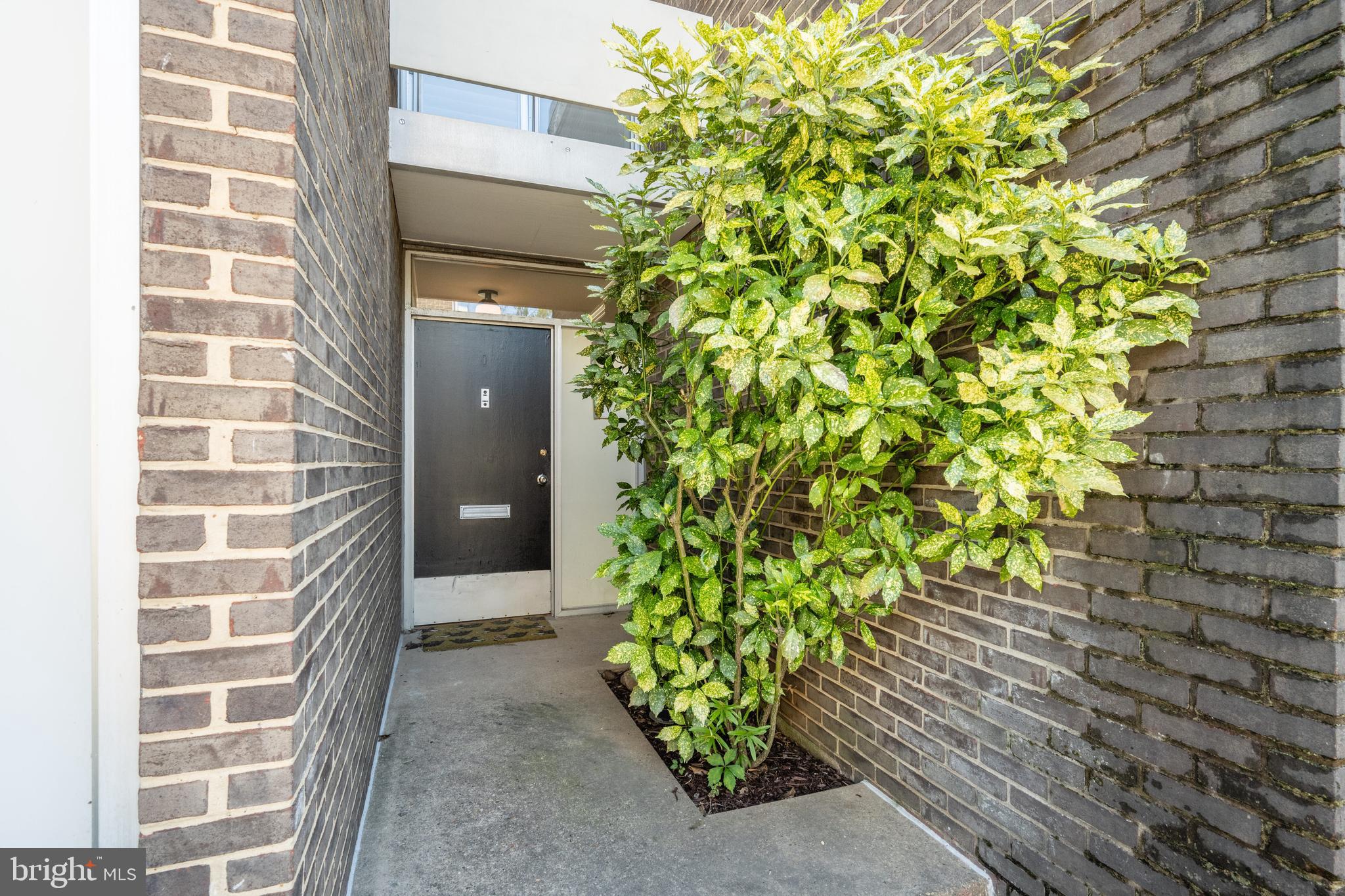 352 N Street Southwest Washington, DC 20024 - Photo 31 of 57 a backyard of a house