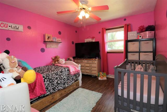 8734 Wagon Trail Road Clinton, IL 61727 - Photo 8 of 15