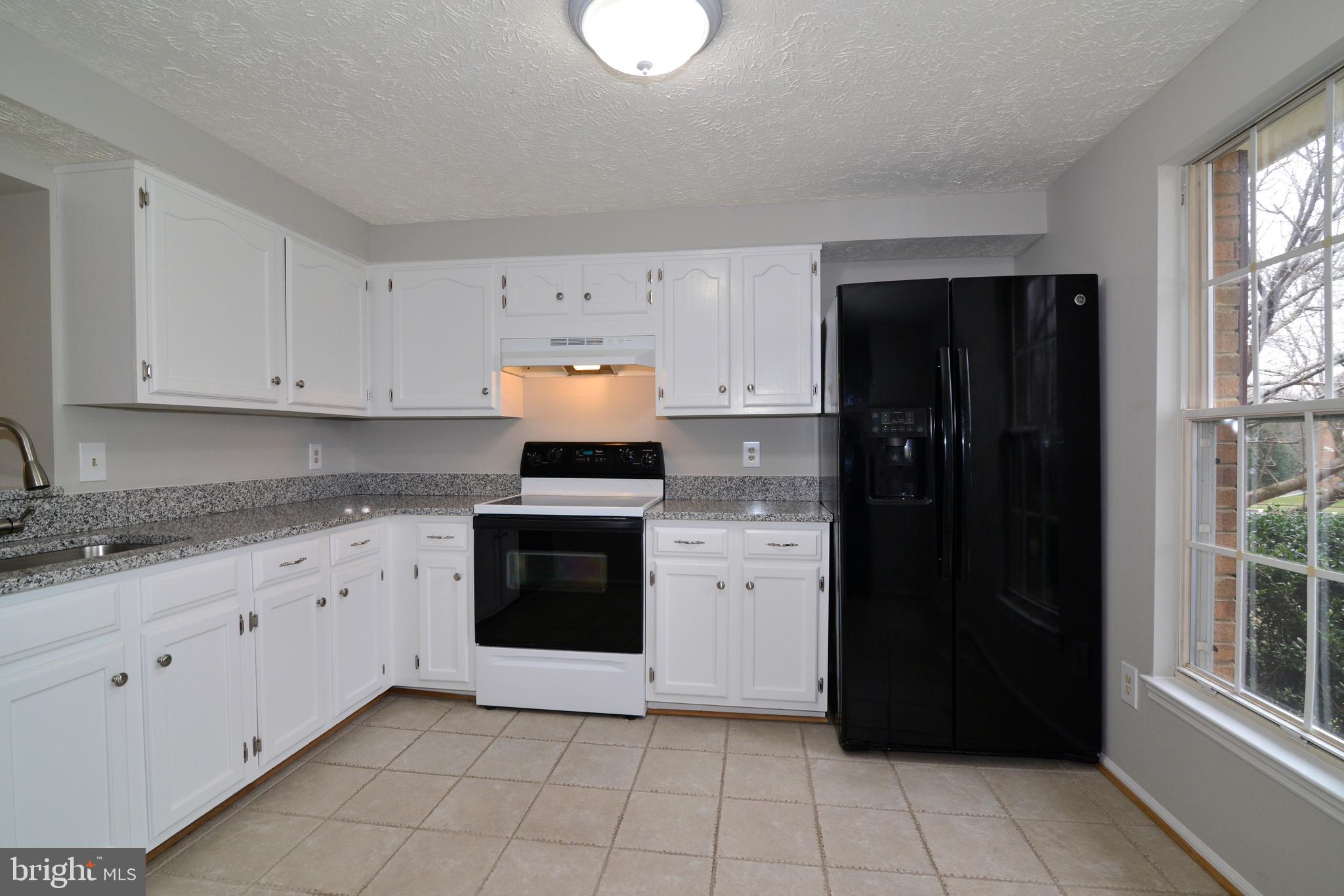 1485 Autumn Ridge Circle Reston, VA 20194 - Photo 5 of 38 Kit view #4