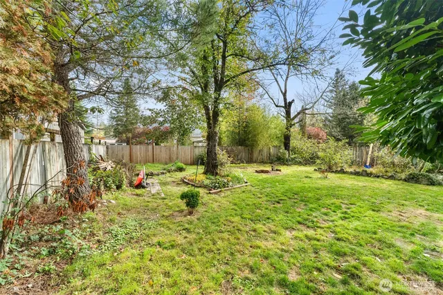 a view of backyard with tree
