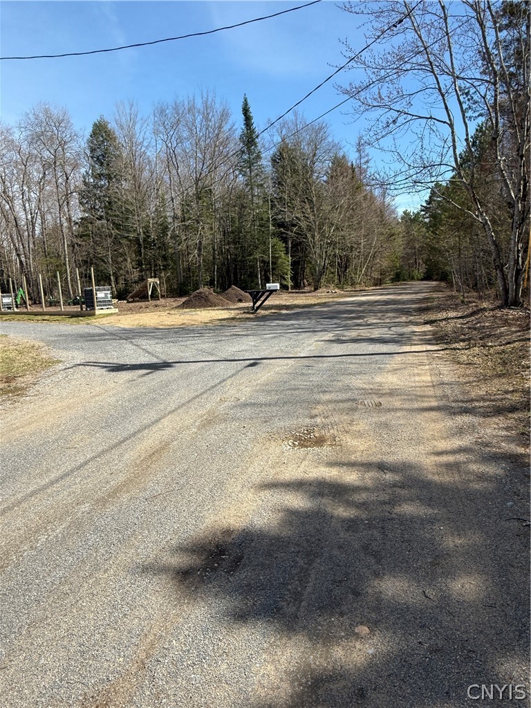 Lot 21 Deep Lake Road Forestport, NY 13338 - Photo 18 of 37