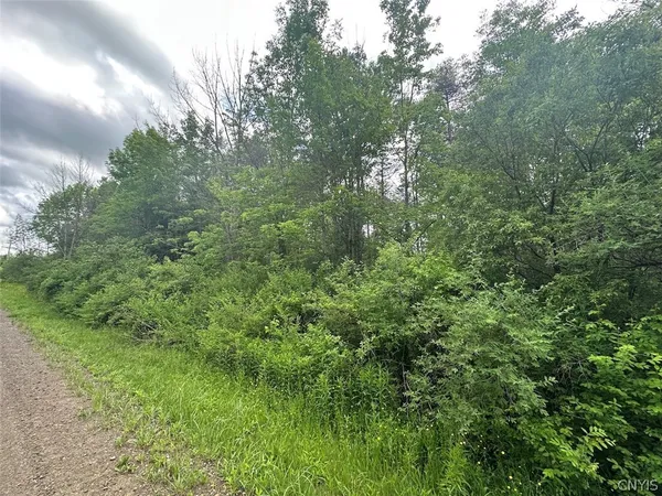 $24,900 | Townline Road, Angelica, NY 14709