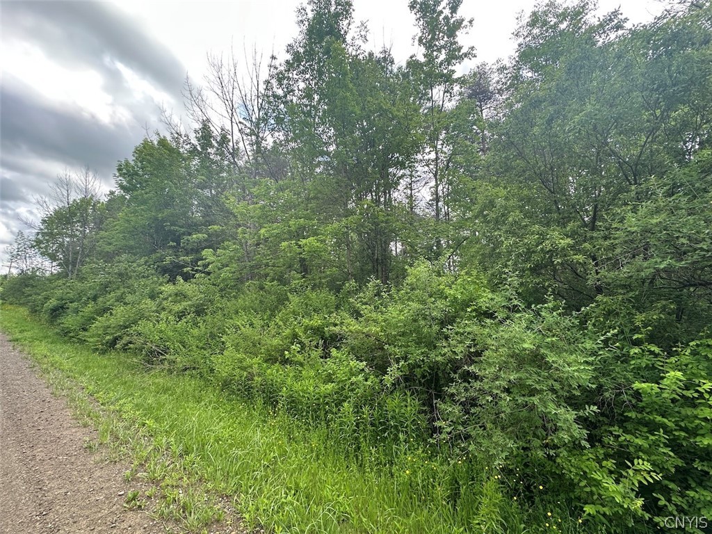 Townline Road Angelica, NY 14709 - Photo 1 of 13