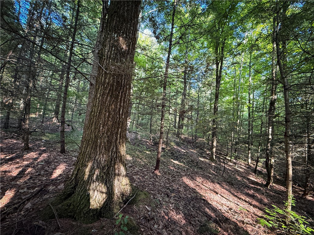 Wright Road Candor, NY 13743 - Photo 12 of 33 Gallery Image 12