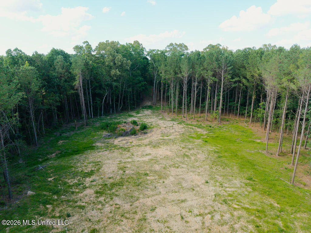 Trickhambridge Road Brandon, MS 39042 - Photo 4 of 30 dji_fly_20260610_164326_0182_17811286934