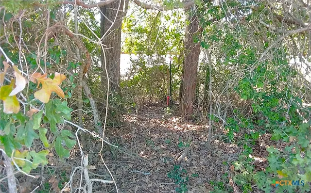 $69,000 | 2565 Five Mile & Highway, Flatonia, TX 78941