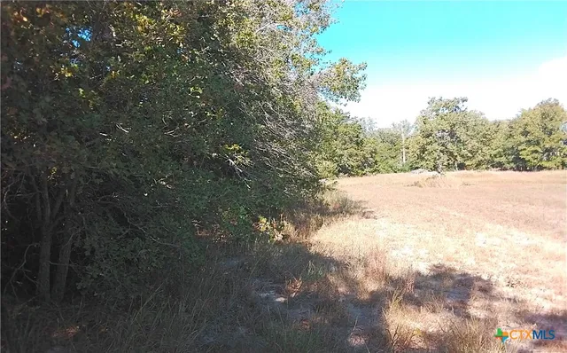 $69,000 | 2565 Five Mile & Highway, Flatonia, TX 78941