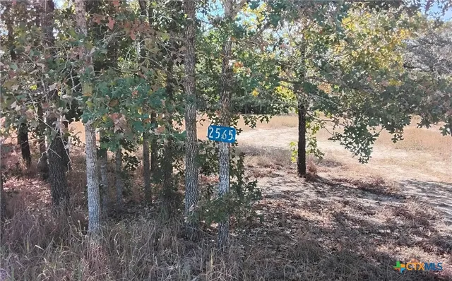 $69,000 | 2565 Five Mile & Highway, Flatonia, TX 78941