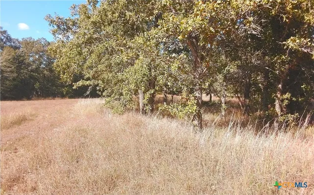 $69,000 | 2565 Five Mile & Highway, Flatonia, TX 78941