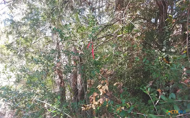 $69,000 | 2565 Five Mile & Highway, Flatonia, TX 78941