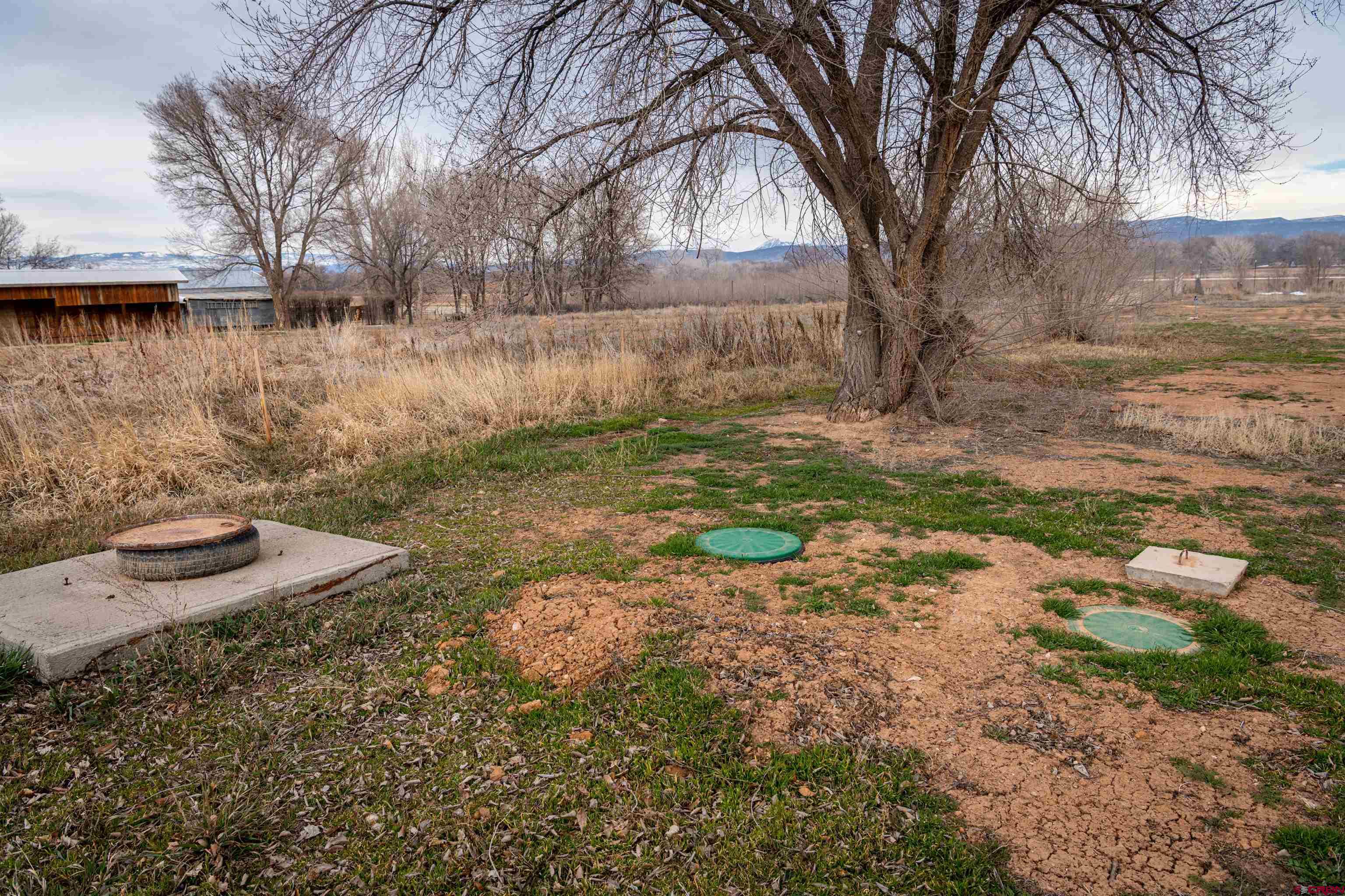 5844 5600th Road Olathe, CO 81425 - Photo 5 of 17 Gallery Image 5