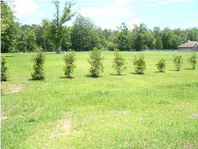 5000 Settles Road Molino, FL 32577 - Photo 2 of 8 Gallery Image 2