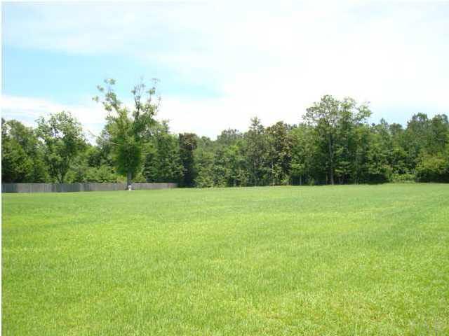 5000 Settles Road Molino, FL 32577 - Photo 6 of 8 Gallery Image 6