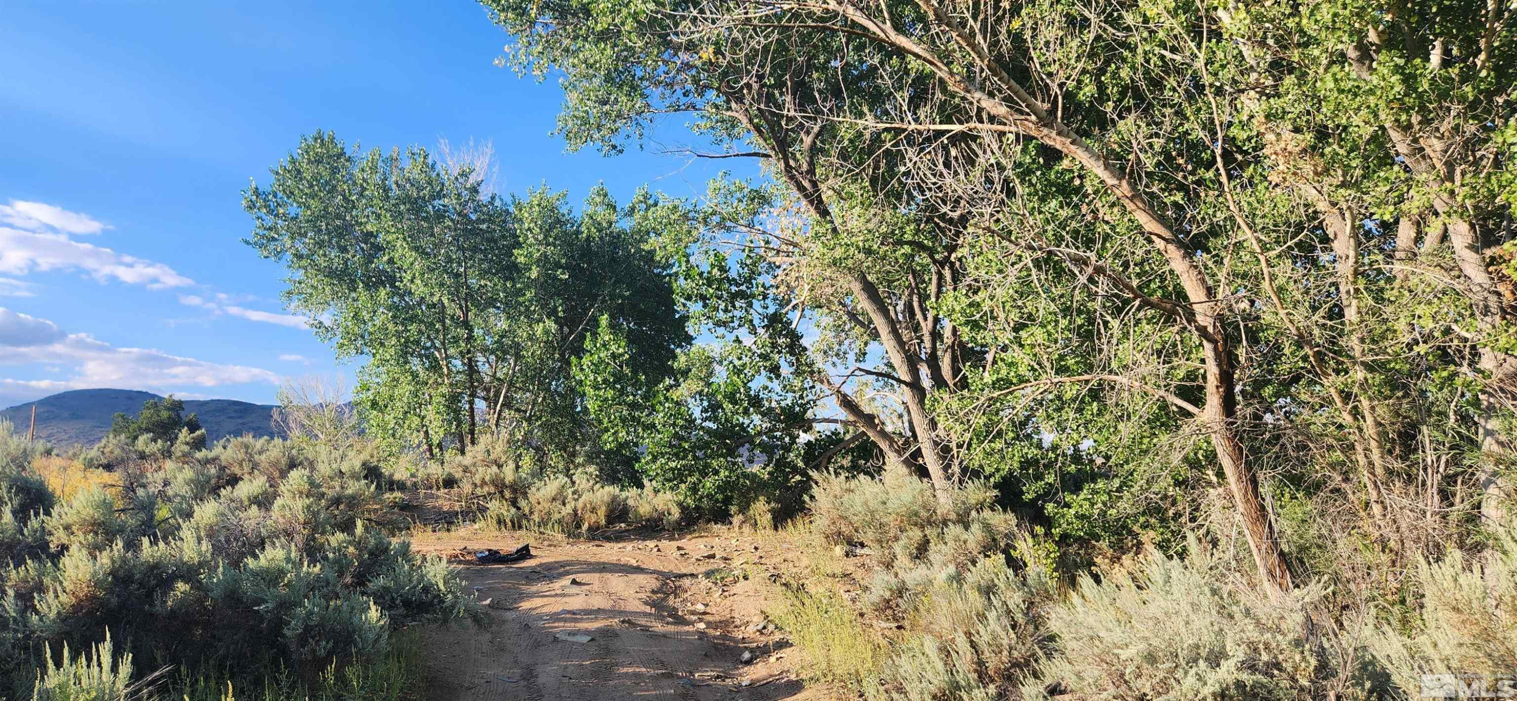 5155 Highway 50 Carson City, NV 89701 - Photo 11 of 20