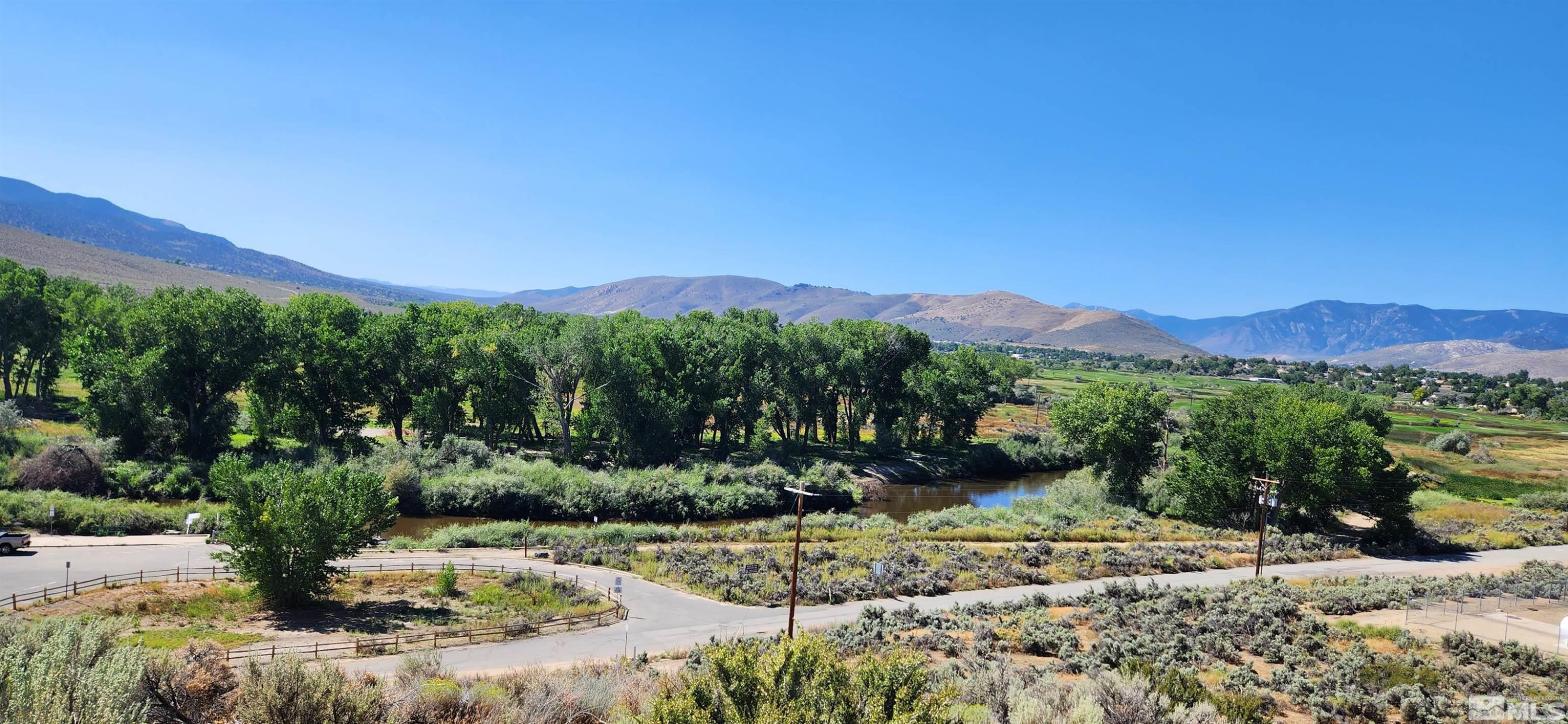 5155 Highway 50 Carson City, NV 89701 - Photo 16 of 20 a view of a mountain with a garden