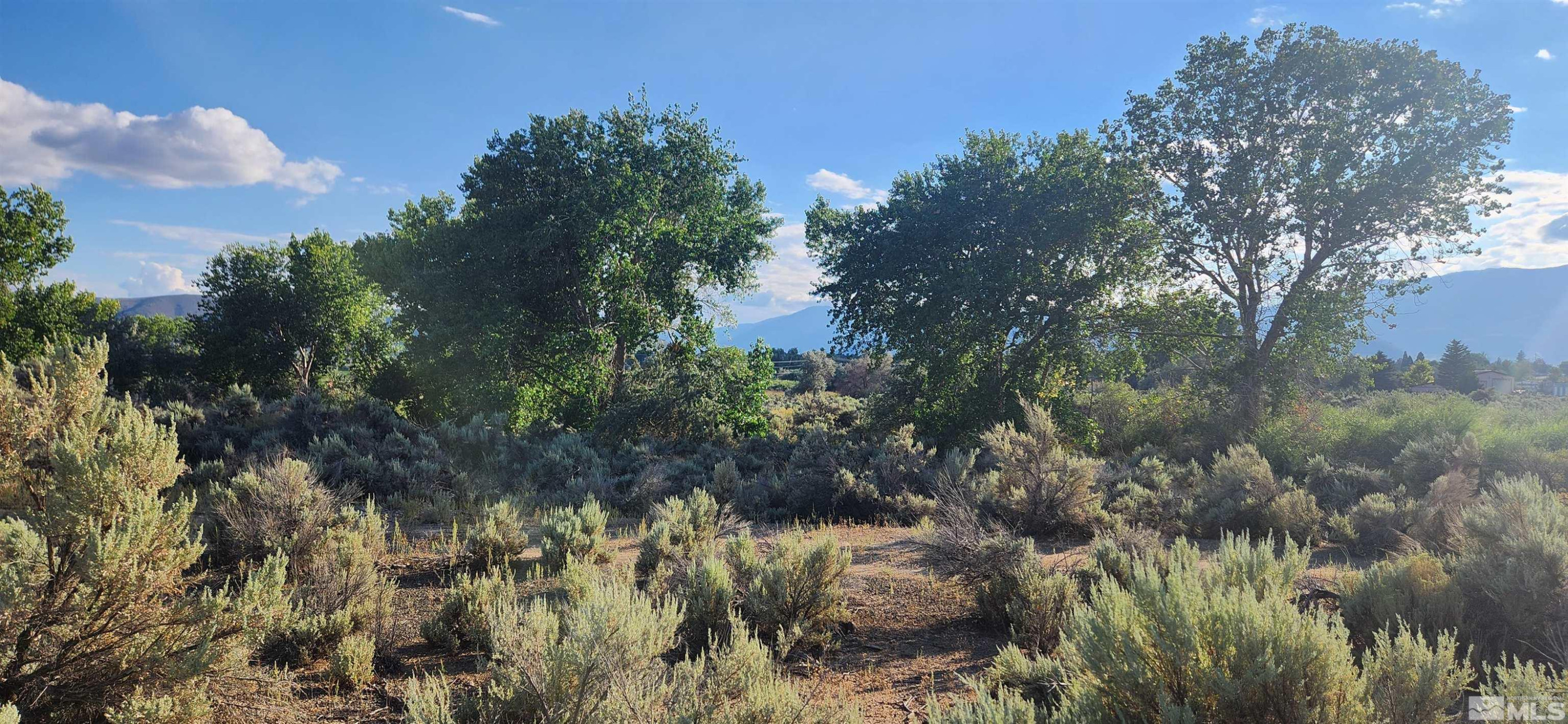 5155 Highway 50 Carson City, NV 89701 - Photo 5 of 20 a view of a yard