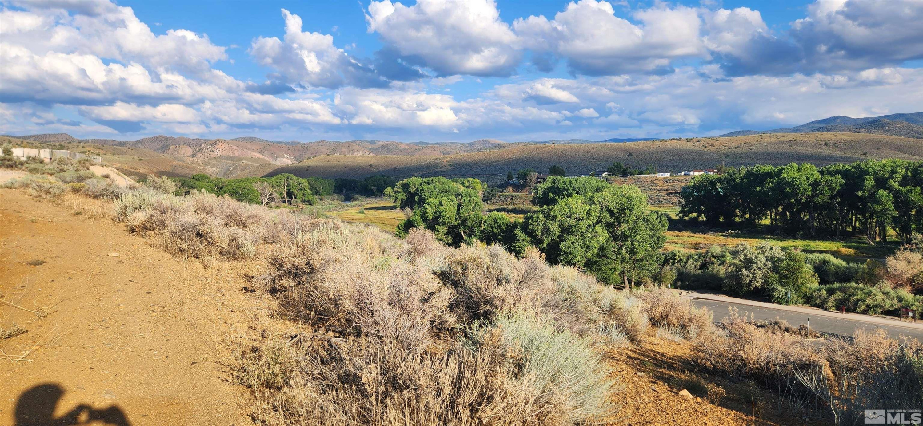 5155 Highway 50 Carson City, NV 89701 - Photo 8 of 20 a view of a bunch of trees and houses