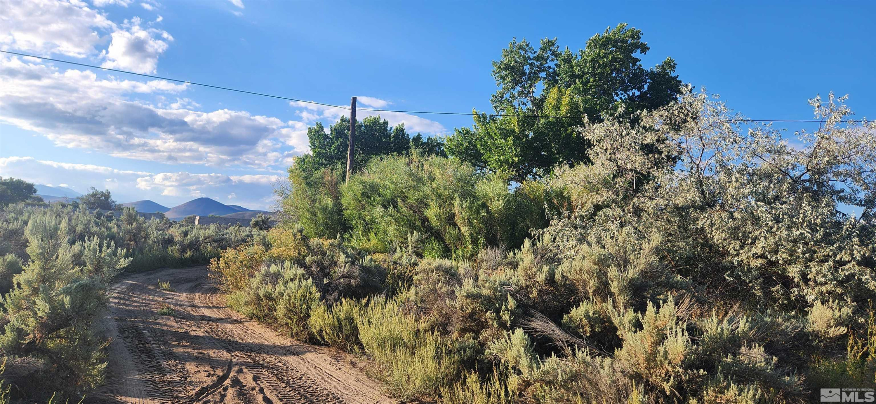 5155 Highway 50 Carson City, NV 89701 - Photo 9 of 20 a view of a city with lush green forest