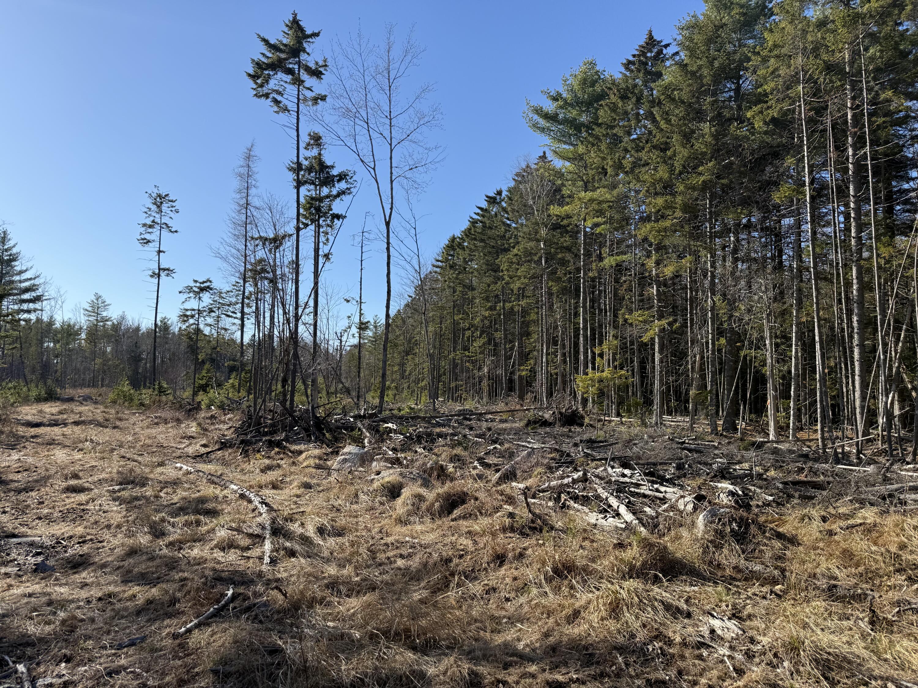 26-22-a Morgan Bay Road Surry, ME 04684 - Photo 6 of 7 IMG_2108