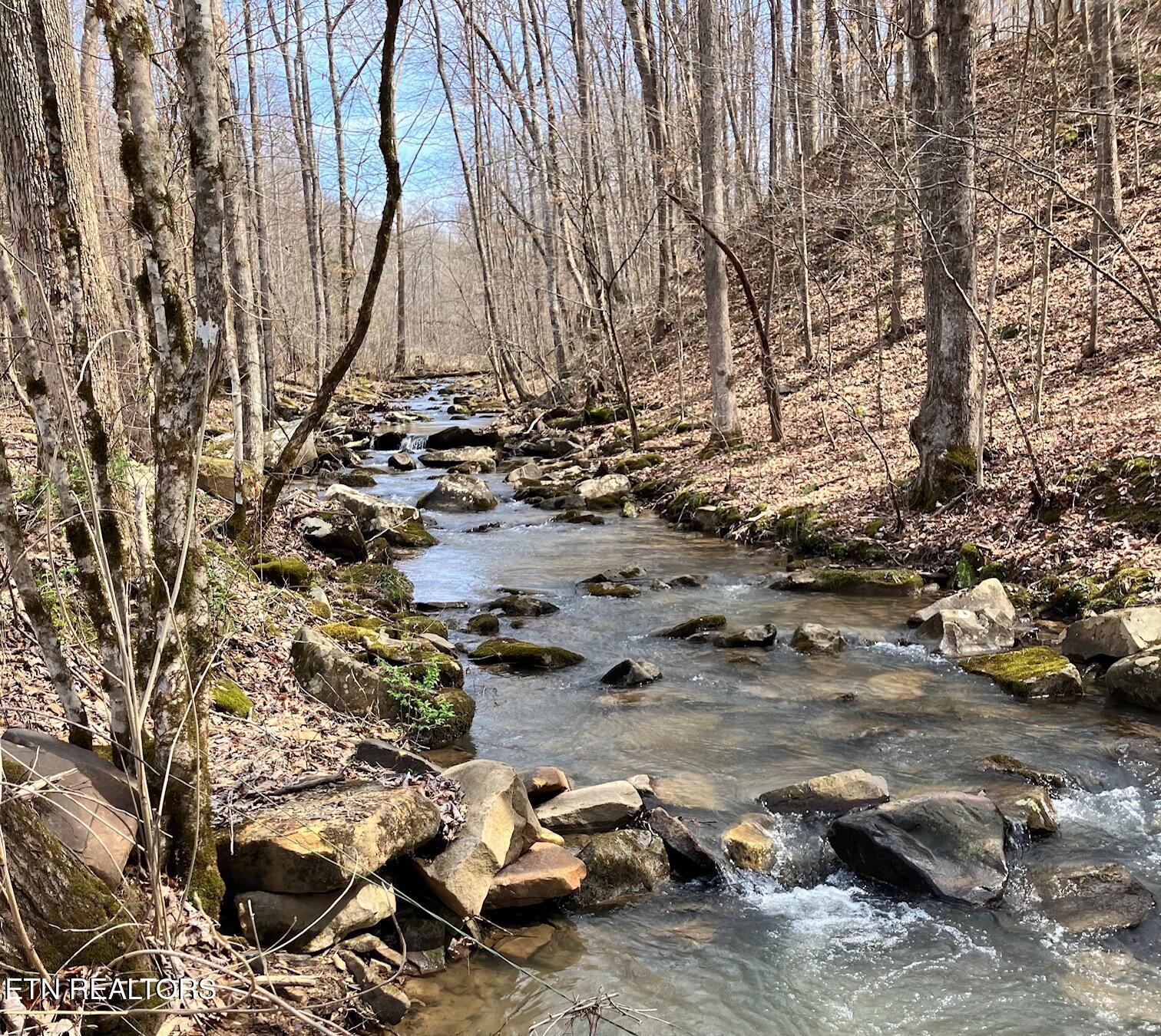 4913 Snake Hollow Road Sneedville, TN 37869 - Photo 2 of 9 IMG_5335