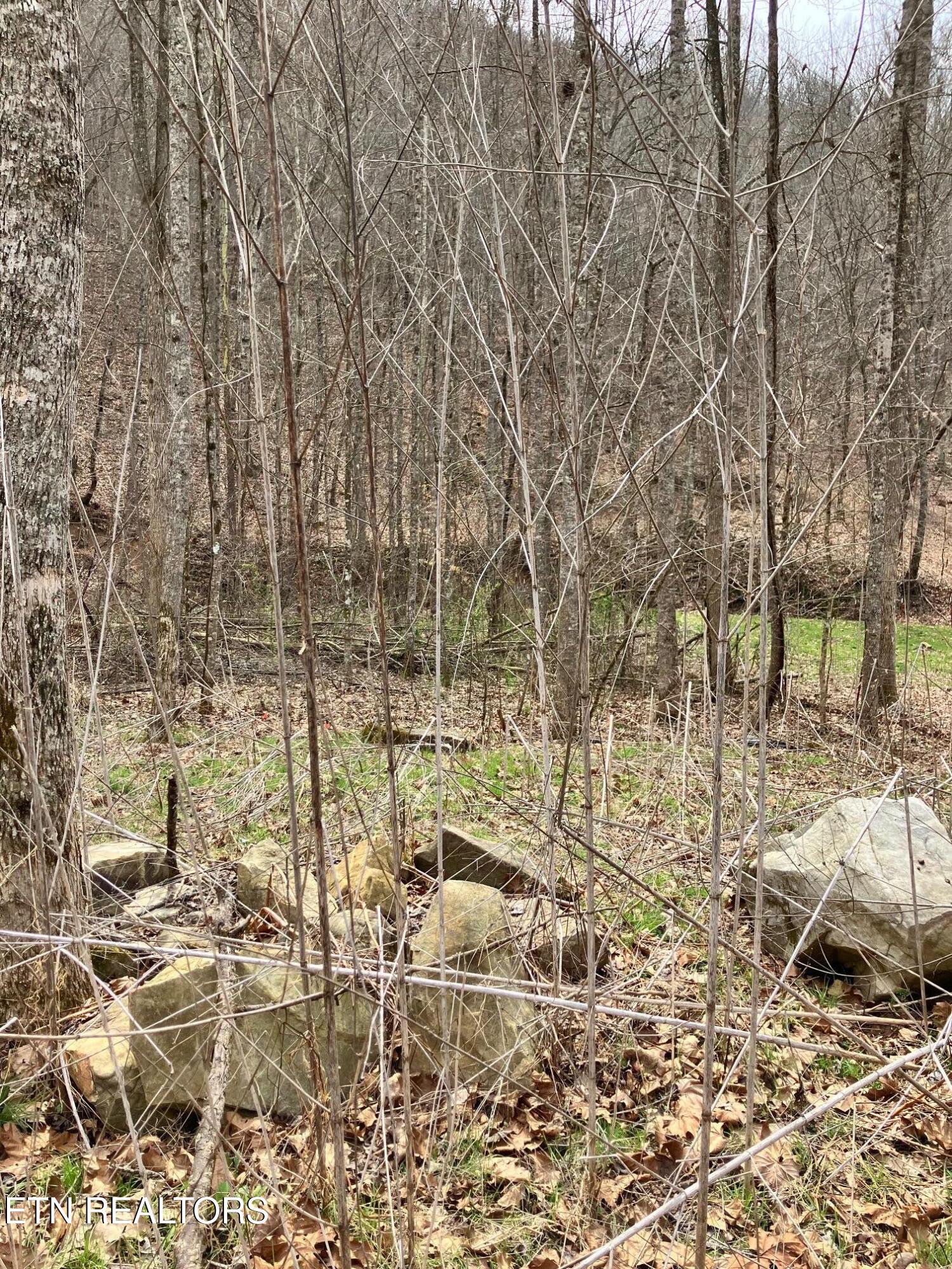 4913 Snake Hollow Road Sneedville, TN 37869 - Photo 5 of 9 IMG_5344