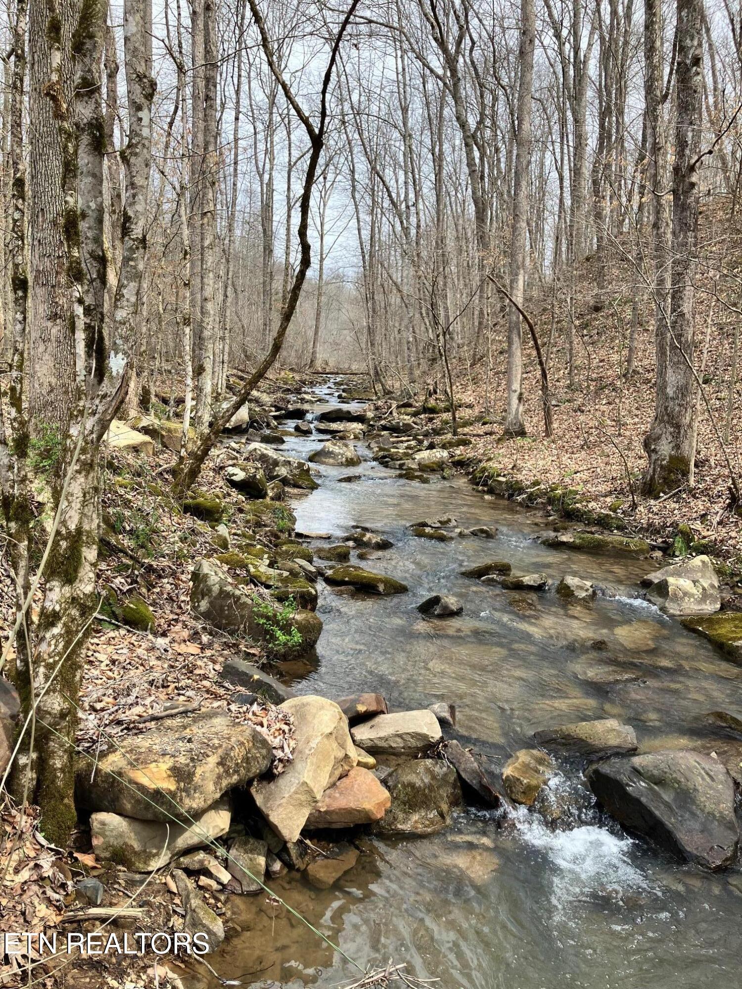 4913 Snake Hollow Road Sneedville, TN 37869 - Photo 7 of 9 IMG_5351